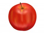 りんごポリフェノールで痩せるのは本当？