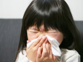 インフルエンザ対策には乳酸菌が良いって本当？